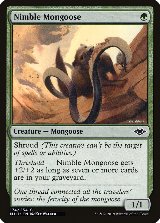 Nimble Mongoose [Modern Horizons] | Deep Dive Games St. Marys