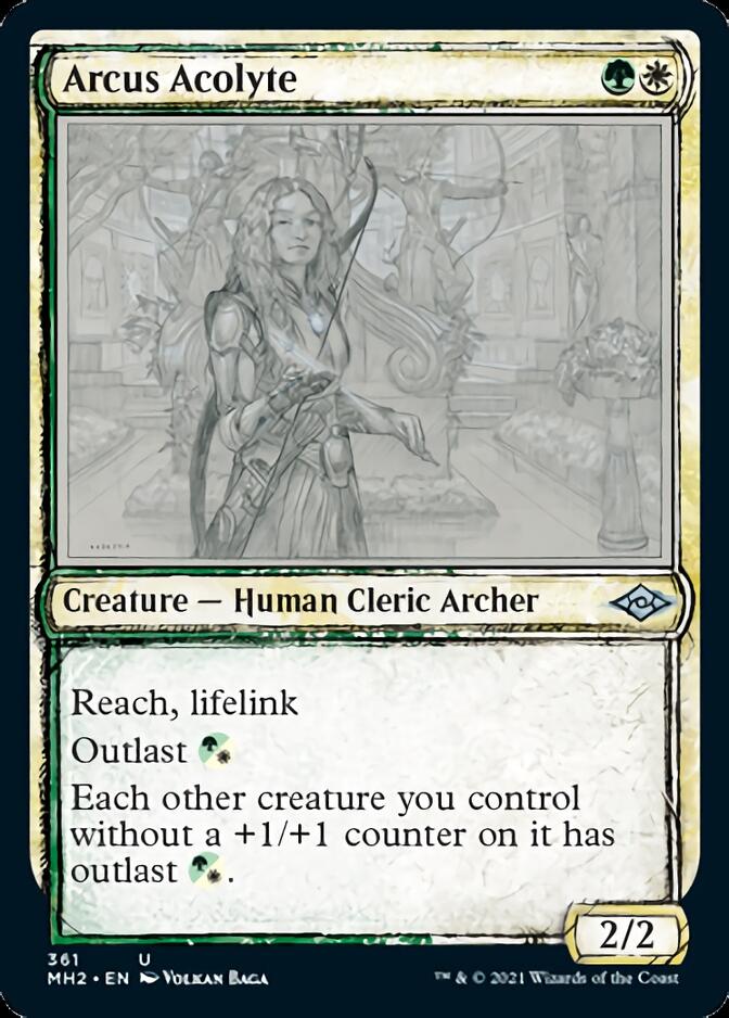 Arcus Acolyte (Sketch) [Modern Horizons 2] | Deep Dive Games St. Marys