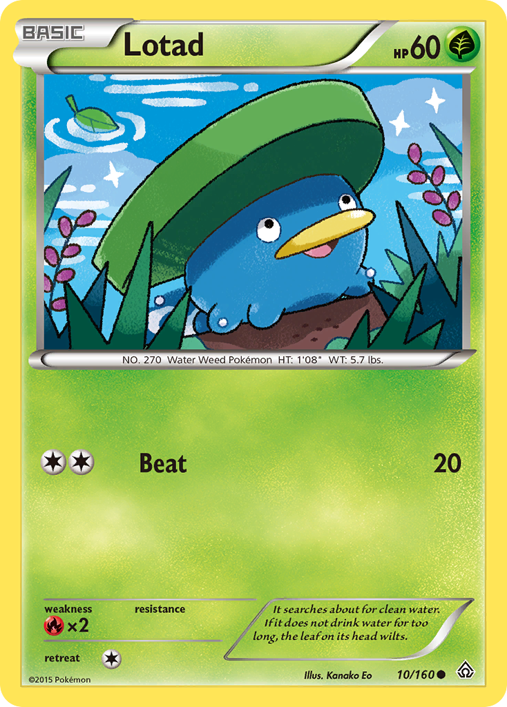 Lotad (10/160) [XY: Primal Clash] | Deep Dive Games St. Marys