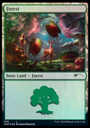 Forest (Predatory) (578) [Secret Lair Drop Promos] | Deep Dive Games St. Marys