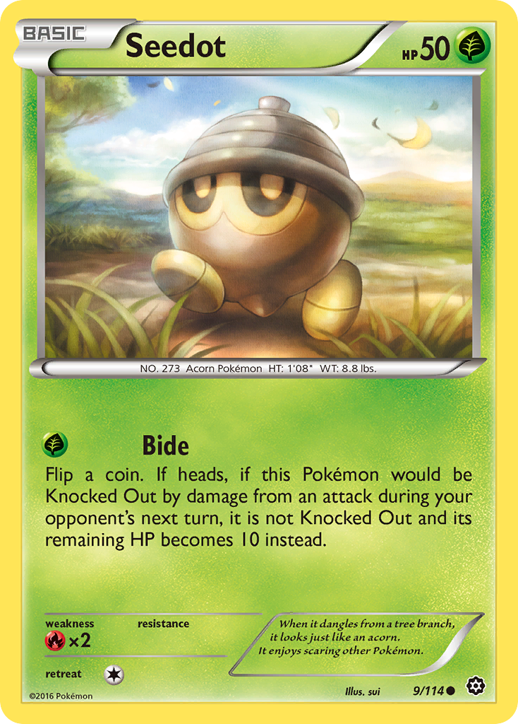 Seedot (9/114) [XY: Steam Siege] | Deep Dive Games St. Marys