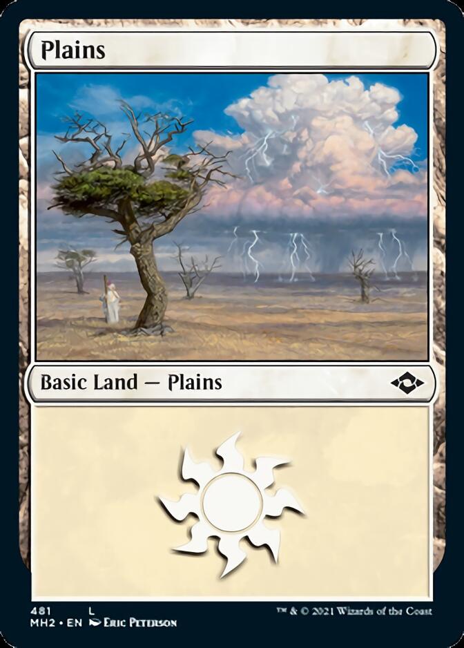 Plains (481) (Foil Etched) [Modern Horizons 2] | Deep Dive Games St. Marys