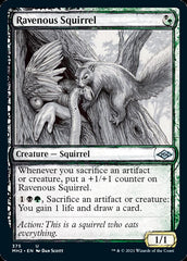 Ravenous Squirrel (Sketch) [Modern Horizons 2] | Deep Dive Games St. Marys