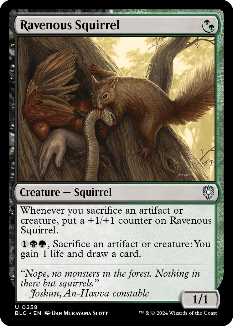 Ravenous Squirrel [Bloomburrow Commander] | Deep Dive Games St. Marys