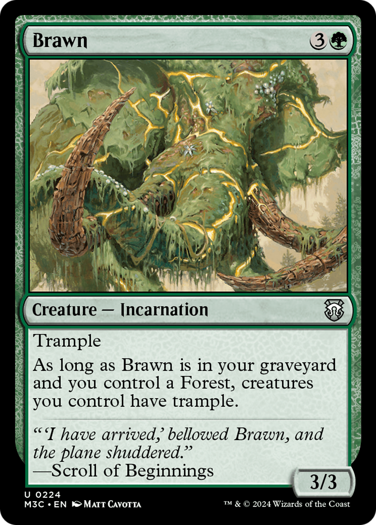 Brawn [Modern Horizons 3 Commander] | Deep Dive Games St. Marys