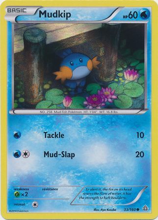 Mudkip (33/160) (Sheen Holo) [XY: Primal Clash] | Deep Dive Games St. Marys