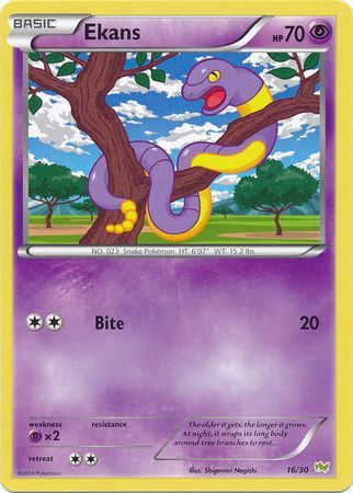 Ekans (16/30) [XY: Trainer Kit - Noivern] | Deep Dive Games St. Marys