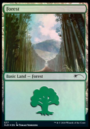 Forest (Walls) (577) [Secret Lair Drop Promos] | Deep Dive Games St. Marys