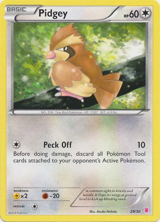 Pidgey (29/30) [XY: Trainer Kit 1 - Wigglytuff] | Deep Dive Games St. Marys