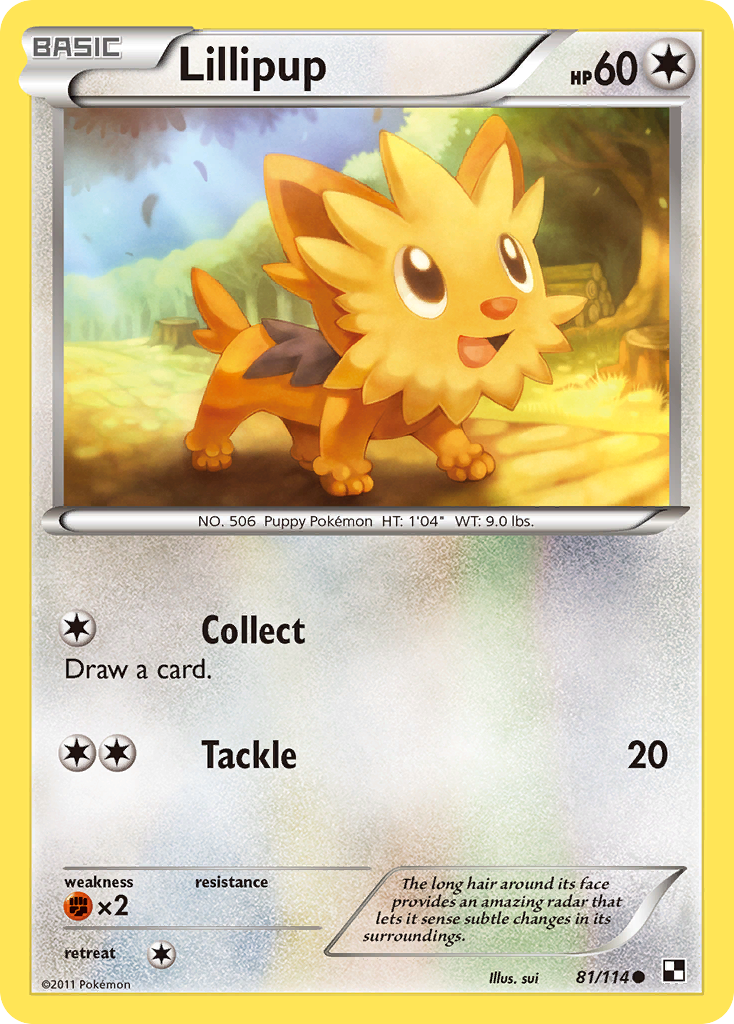 Lillipup (81/114) [Black & White: Base Set] | Deep Dive Games St. Marys