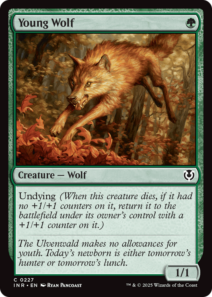 Young Wolf [Innistrad Remastered] | Deep Dive Games St. Marys