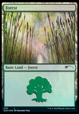 Forest (Elves) (579) [Secret Lair Drop Promos] | Deep Dive Games St. Marys