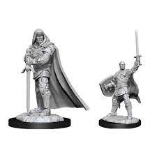 D&D Nolzur's Marvelous Unpainted Minis: W13 Human Male Paladin | Deep Dive Games St. Marys