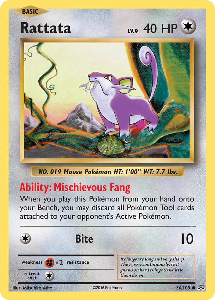 Rattata (66/108) [XY: Evolutions] | Deep Dive Games St. Marys