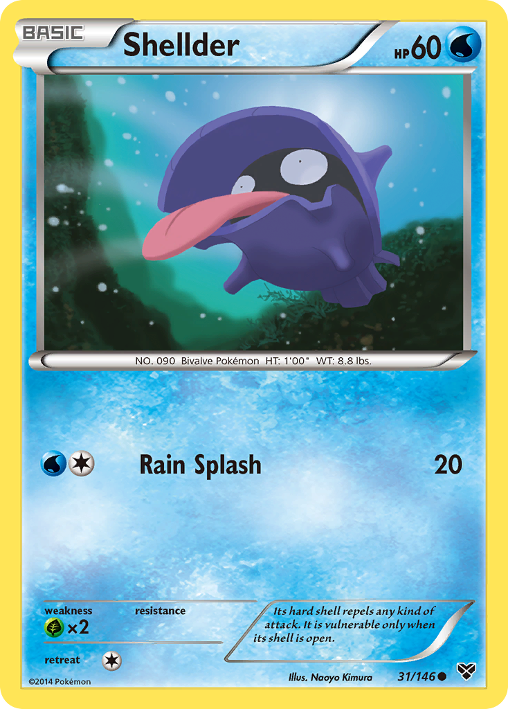 Shellder (31/146) [XY: Base Set] | Deep Dive Games St. Marys