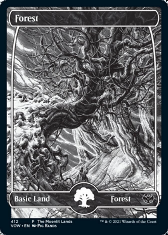 Forest (The Moonlit Lands) (Foil Etched) [Innistrad: Crimson Vow Promos] | Deep Dive Games St. Marys