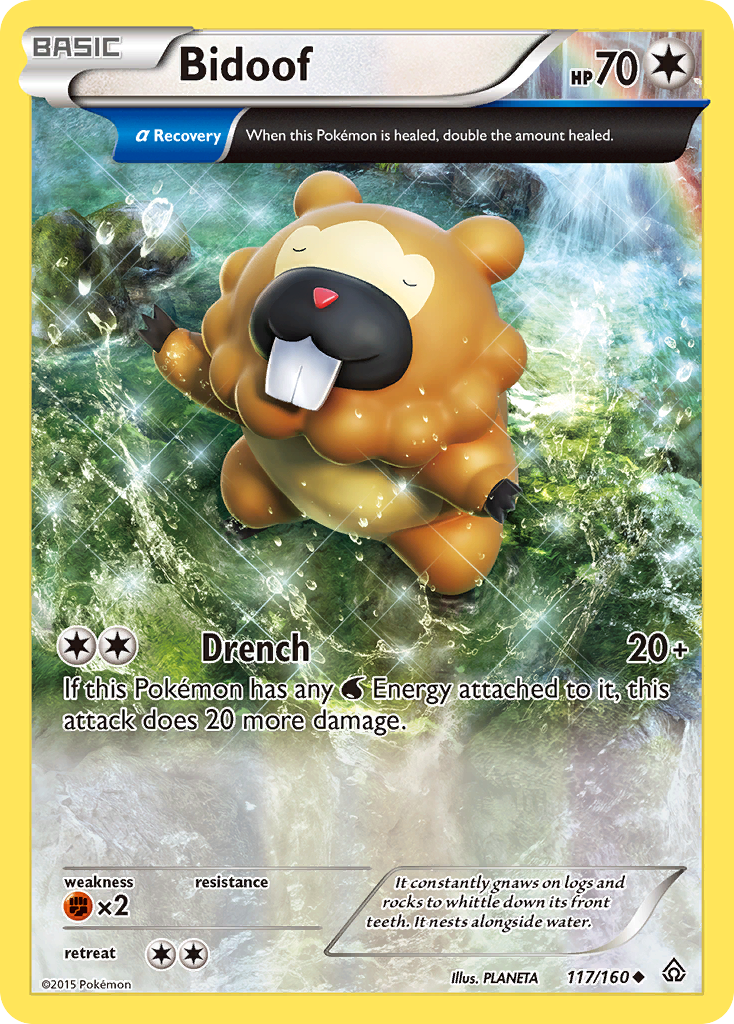 Bidoof (117/160) [XY: Primal Clash] | Deep Dive Games St. Marys