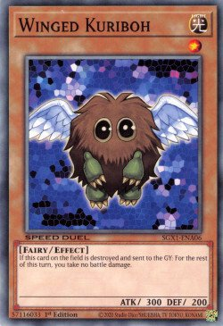 Winged Kuriboh [SGX1-ENA06] Common | Deep Dive Games St. Marys