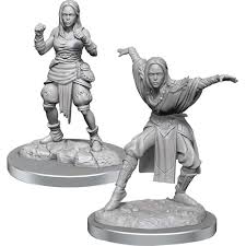 Pathfinder Deep Cuts Unpainted Miniatures: W21 Half-Elf Monk Females | Deep Dive Games St. Marys