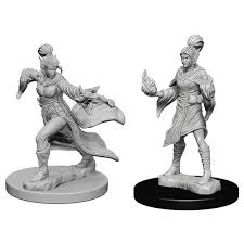 Pathfinder Deep Cuts Unpainted Miniatures: W01 Elf Female Sorcerer | Deep Dive Games St. Marys