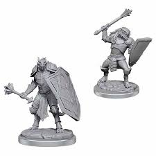 Dungeons & Dragons: Nolzur's Marvelous Unpainted Miniatures - W18 Dragonborn Clerics | Deep Dive Games St. Marys