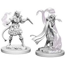 Dungeons & Dragons: Nolzur's Marvelous Unpainted Miniatures - Tiefling Female Sorcerer | Deep Dive Games St. Marys