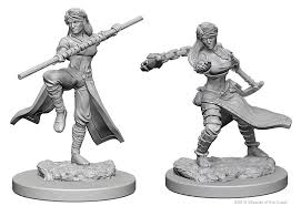 Dungeons & Dragons: Nolzur's Marvelous Unpainted Miniatures - Human Female Monk | Deep Dive Games St. Marys