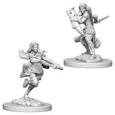 Dungeons & Dragons: Nolzur's Marvelous Unpainted Miniatures - Air Genasi Female Rogue | Deep Dive Games St. Marys