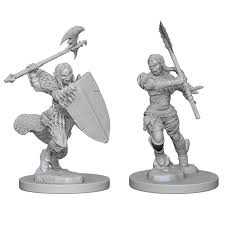 Pathfinder Deep Cuts Unpainted Miniatures: Half-Orc Female Barbarian | Deep Dive Games St. Marys