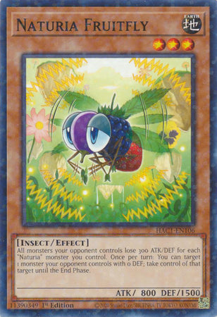 Naturia Fruitfly (Duel Terminal) [HAC1-EN106] Common | Deep Dive Games St. Marys