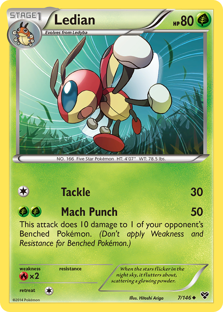 Ledian (7/146) [XY: Base Set] | Deep Dive Games St. Marys