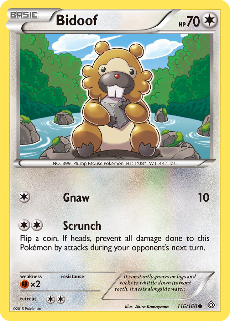 Bidoof (116/160) [XY: Primal Clash] | Deep Dive Games St. Marys