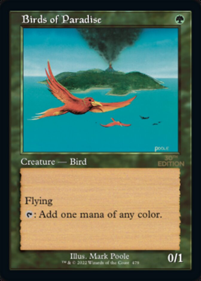 Birds of Paradise (Retro) [30th Anniversary Edition] | Deep Dive Games St. Marys