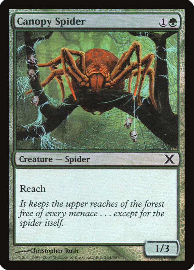 Canopy Spider (Premium Foil) [Tenth Edition] | Deep Dive Games St. Marys