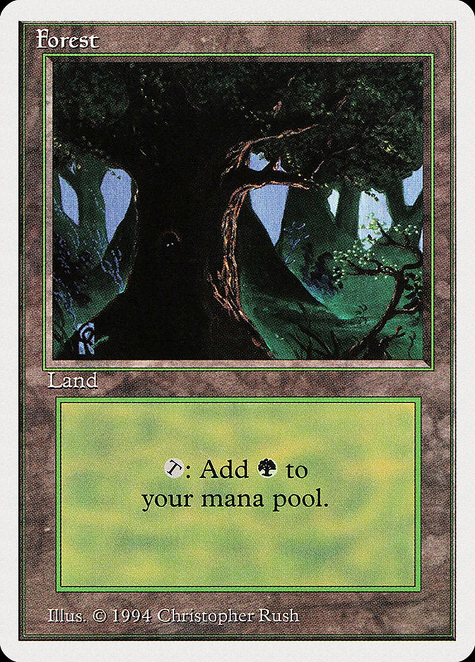 Forest (306) [Summer Magic / Edgar] | Deep Dive Games St. Marys