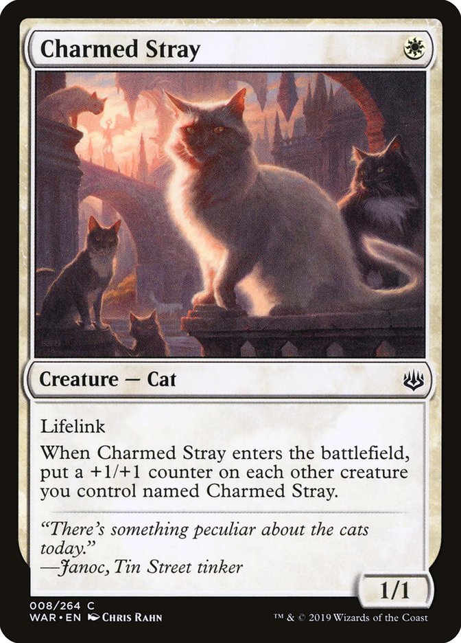 Charmed Stray [War of the Spark] | Deep Dive Games St. Marys