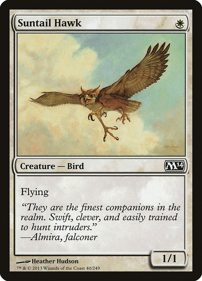 Suntail Hawk [Magic 2014] | Deep Dive Games St. Marys