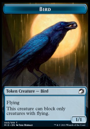 Spirit // Bird Double-Sided Token [Innistrad: Midnight Hunt Tokens] | Deep Dive Games St. Marys