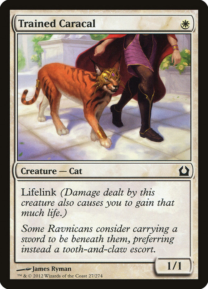 Trained Caracal [Return to Ravnica] | Deep Dive Games St. Marys