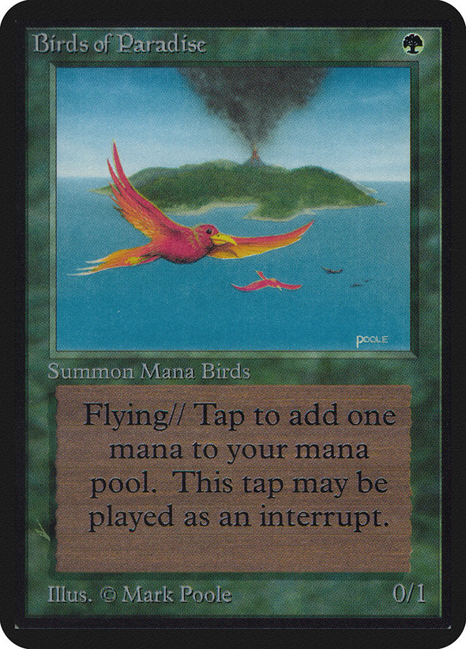 Birds of Paradise [Alpha Edition] | Deep Dive Games St. Marys