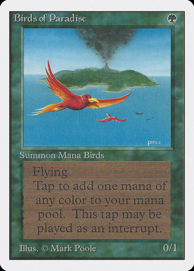 Birds of Paradise [Unlimited Edition] | Deep Dive Games St. Marys