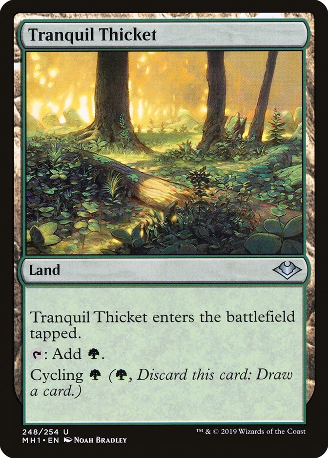 Tranquil Thicket [Modern Horizons] | Deep Dive Games St. Marys