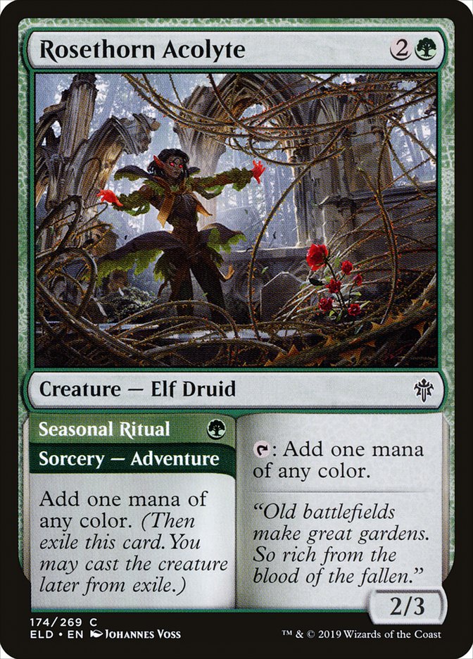 Rosethorn Acolyte // Seasonal Ritual [Throne of Eldraine] | Deep Dive Games St. Marys