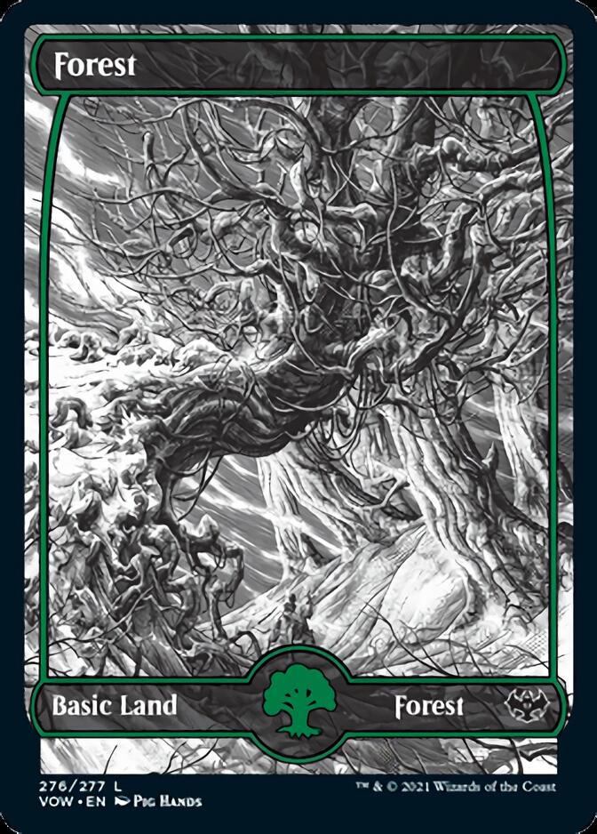 Forest (276) [Innistrad: Crimson Vow] | Deep Dive Games St. Marys