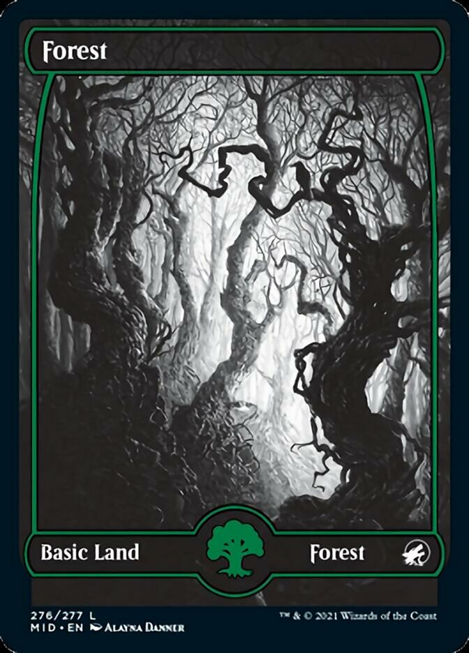 Forest (276) [Innistrad: Midnight Hunt] | Deep Dive Games St. Marys