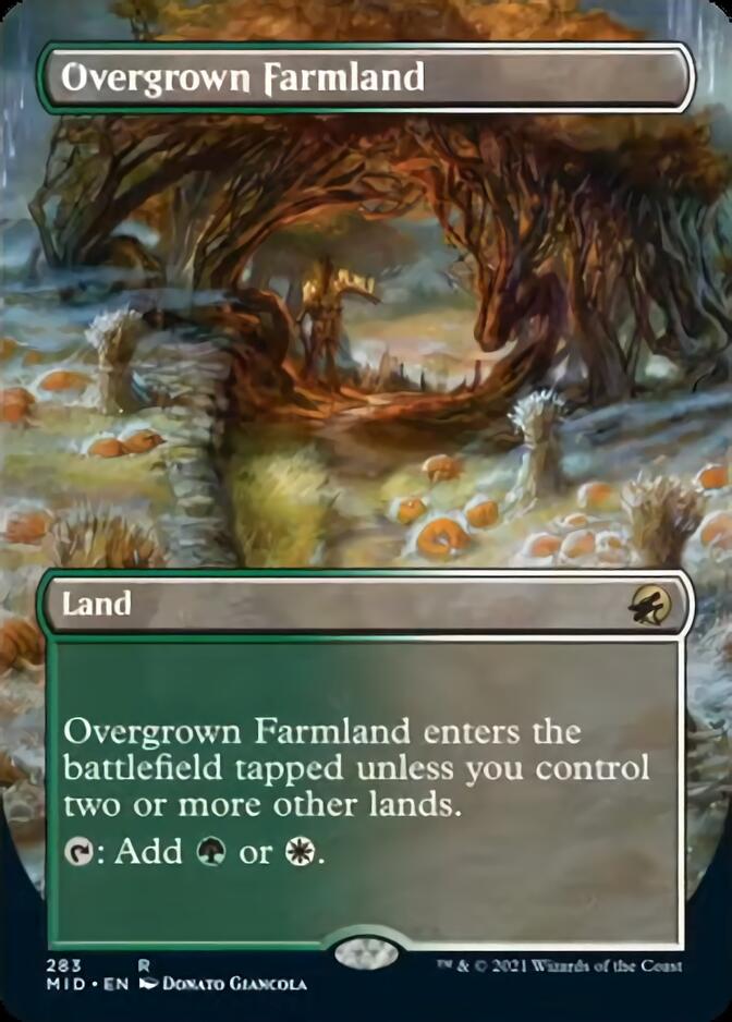 Overgrown Farmland (Borderless Alternate Art) [Innistrad: Midnight Hunt] | Deep Dive Games St. Marys