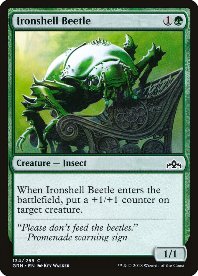 Ironshell Beetle [Guilds of Ravnica] | Deep Dive Games St. Marys