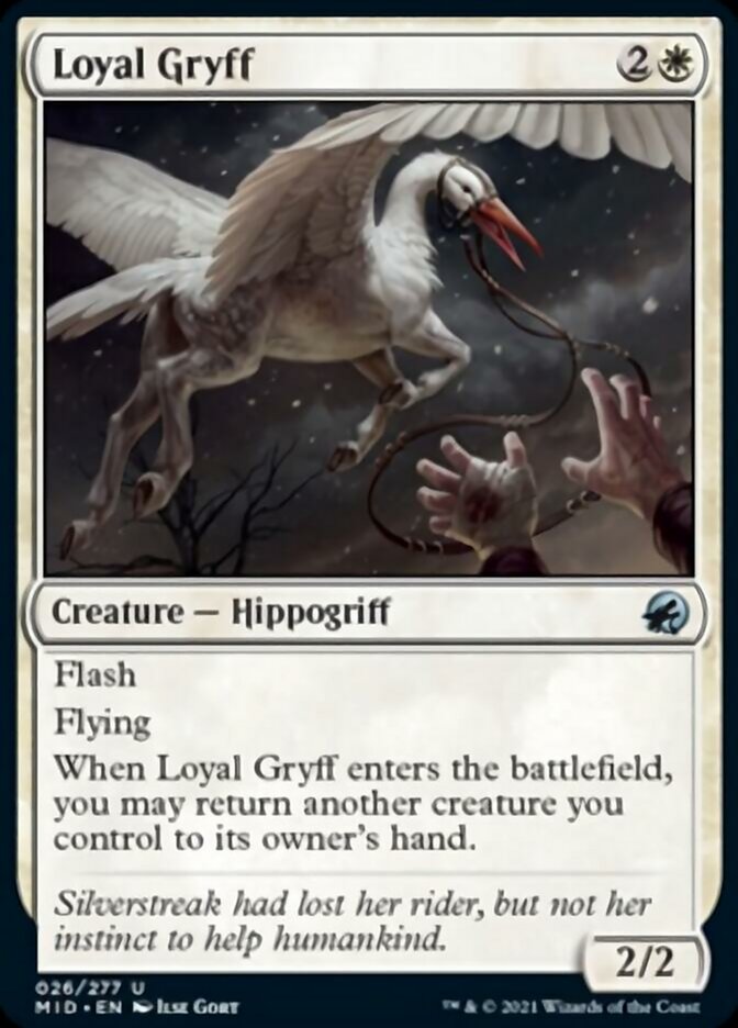 Loyal Gryff [Innistrad: Midnight Hunt] | Deep Dive Games St. Marys