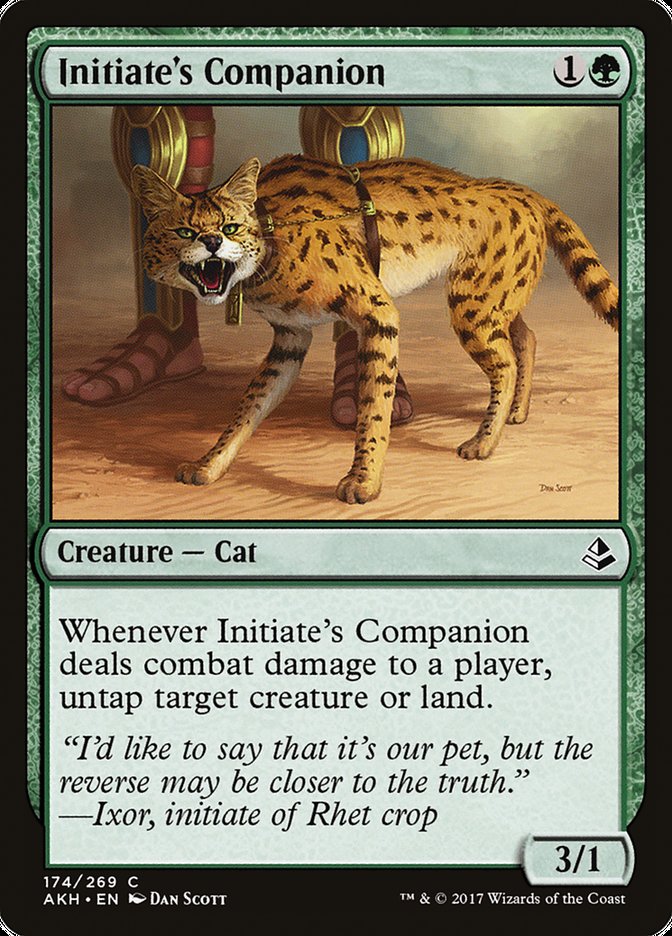 Initiate's Companion [Amonkhet] | Deep Dive Games St. Marys