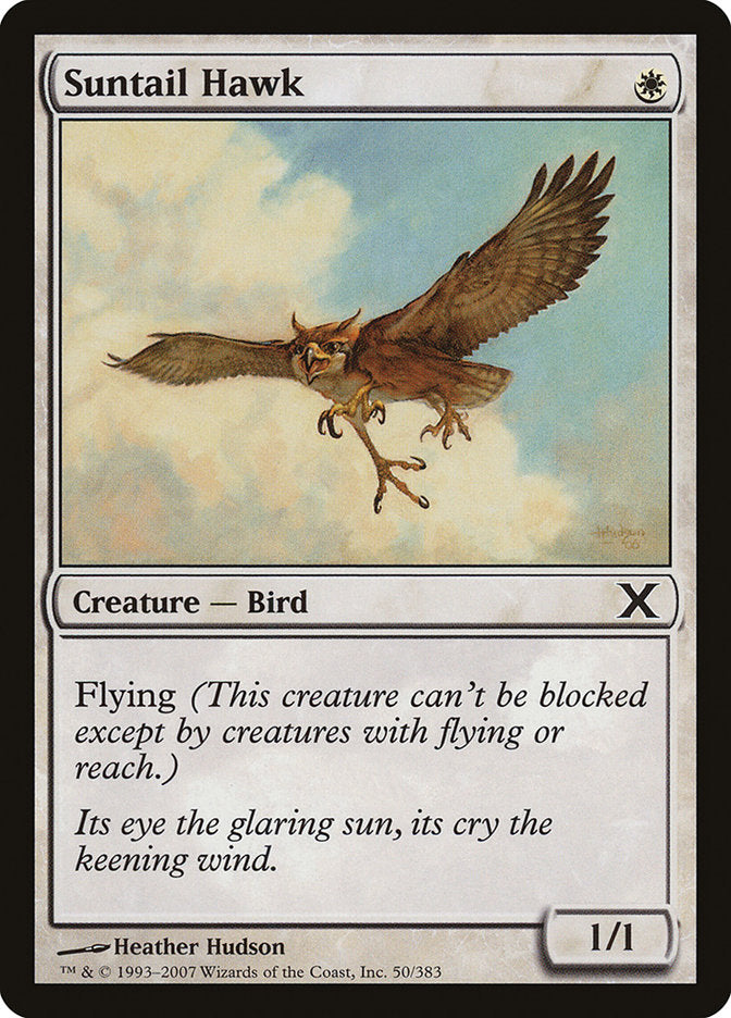 Suntail Hawk [Tenth Edition] | Deep Dive Games St. Marys